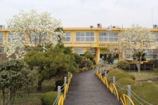 [명문학교 탐방] 31. 압해동초등학교