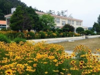 [명문학교 탐방] 44. 강진 옴천초등학교