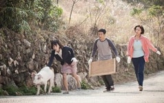 추석 앞두고 9월 극장가 웃음꽃 만발