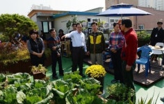 서구, 상무1동 원룸타운 옥상녹화사업 품평회