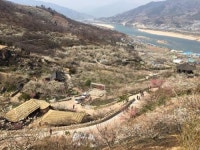 섬진강변으로 흐드러지게 피어난 매화