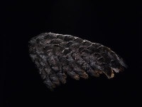 극장의 화려한 변신이 시작된다