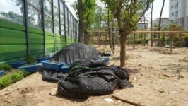 광주 동천마을 완충녹지 또 훼손