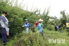 전남 기관단체 농촌인력 지원 적극 나서