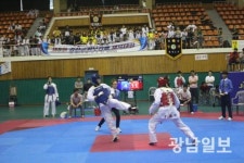 전남 태권도 대표선수 강진서 가린다