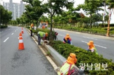 순천시, 여순로 등 5대 관문 녹지대 환경정비