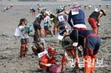 마을소득도 잡은 쏙잡이 체험