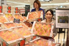 아삭아삭 달디 단 ‘차돌복숭아’ 만나세요