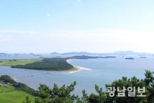 신안 증도 한반도 해송 숲 관광자원화 사업 탄력