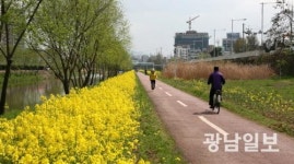 광주 자전거도로 정비사업 본격 추진