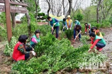 광주 서구 화정4동새마을회,도심꽃밭조성
