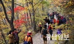 구례 피아골 단풍길, 국립공원 단풍길 10선 선정