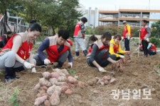 롯데아울렛 수완점, 고구마 수확 복지재단 기부