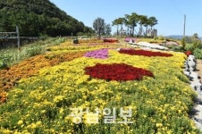 장성 녹색나눔 숲 공간디자인 수상