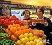 빛깔 좋은 화순 파프리카 맛보세요