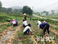 장성 농촌인력지원센터, 장성·삼서 농협 2곳 설치 운영