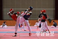 영광, 전국 대학 태권도 대회 개최