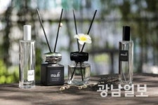 담양, 대나무 활용 브랜드 ‘ma,di’ 런칭