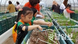 신안 농업기술센터, 농촌체험장 호평
