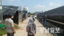 나주, 축사·폐수 배출시설 특별점검