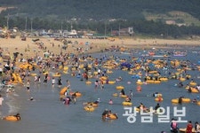 완도 신지 명사십리 7월 7일 문연다