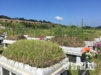 [추석 앞둔 광주시립묘지]먹고 살기 바쁘다…자손 발길 ‘뚝’