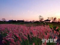 함평군, 주포한옥마을 억새밸리존 조성