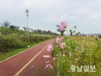 영산강서 자전거로 가을정취 느껴볼까