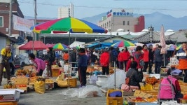 구례5일시장~ 감 구경에 시끌벅적