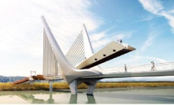 강진만 생태공원에 최대 크기 ‘큰 고니’ 뜬다