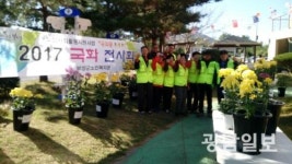 보성군노인복지관, ‘국화꽃 전시회’ 개최