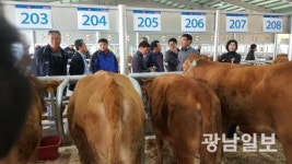무안군, 전남도 한우경진대회 우수상
