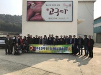 영암군 동아시아 고구마 친선협회 초청 농촌체험행사