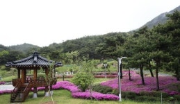 지리산정원, 알록달록 철쭉으로 화려한 변신