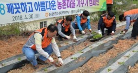 전남농협, 영암 신유토마을서 농촌 가꾸기 캠페인