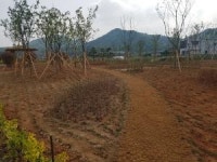 함평군, 신풍마을에 도시 숲 조성