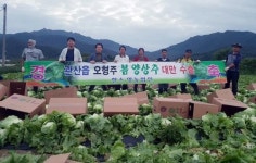 장흥 봄 양상추 25t, 대만 수출 ‘물꼬’