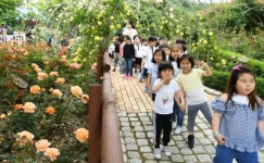 서구, 풍암호수 장미원 사진 공모전 ‘호응’