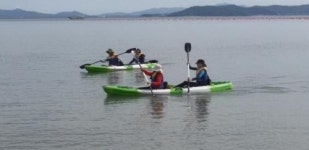 보성비봉마리나, ‘해양레저스포츠 무료체험’ 신청·접수