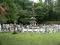 명상 숲 거닐며 마음의 쉼표 찍어볼까