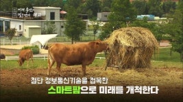 4차산업혁명시대, 미래 축산 조명