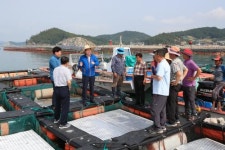 완도군, 폭염에 따른 현장 대응 총력