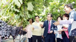 함평군, 월야면 우수 포도농가 방문