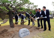 김영록 지사, ‘에코 푸른숲 전남 만들기’ 잰걸음