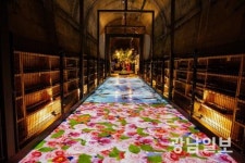 광양와인동굴, 동굴 체험학습장으로 거듭난다