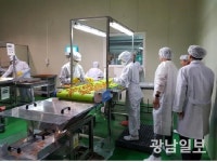 강진 정심푸드, 식품소재·반가공산업 육성사업 선정