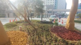 [전남형 가젤기업(고성장기업) 탐방] ①㈜동서산업