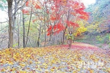 영광 물무산 행복숲, 지역 대표 관광지 우뚝