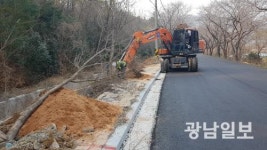 강진군, 명품 벚나무 가로수길 조성 착수