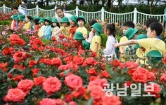 풍암호수공원 장미원, 야간 경관 수놓는다